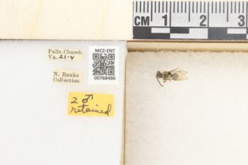 Media type: image;   Entomology 768486 Aspect: Labels